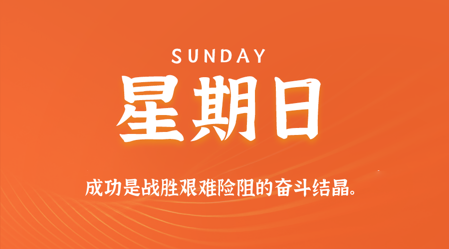 每日简报