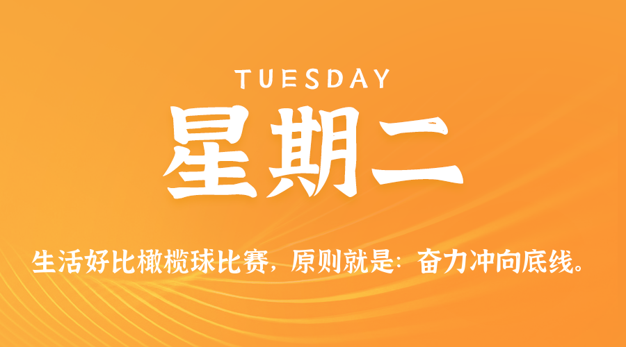 每日简报